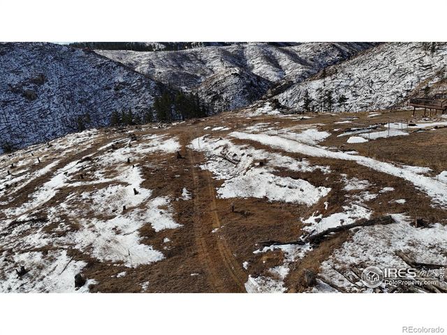 813 Hernia Hill Trail, Bellvue, CO 80512