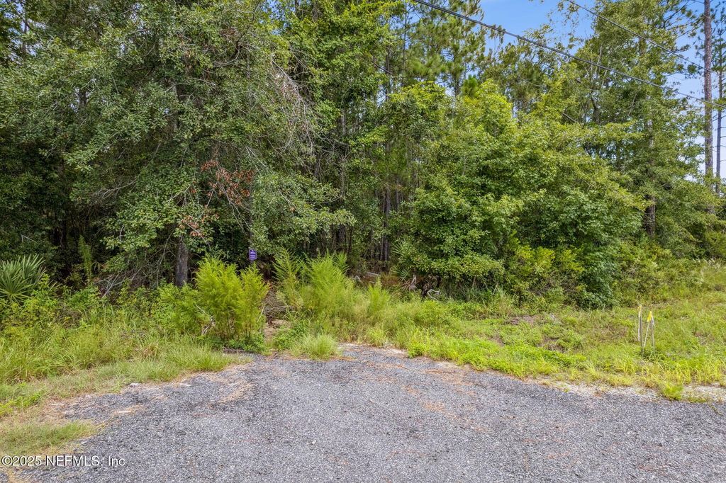 0 STATE ROAD 107 & WARD Road, Fernandina Beach, FL 32034