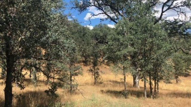 191 Wintu Ln, Douglas City, CA 96024