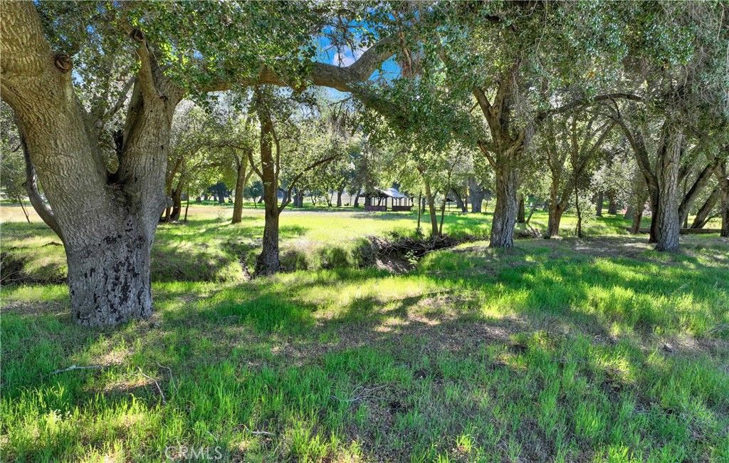 36000 Tenaja Truck Trail, Ortega Mountain, CA 92530 — photo 4