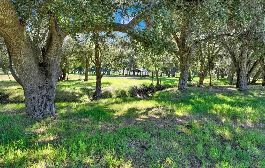 36000 Tenaja Truck Trail, Ortega Mountain, CA 92530 — photo 5