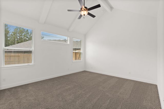215 Congo Bay Circle, Willis, TX 77318