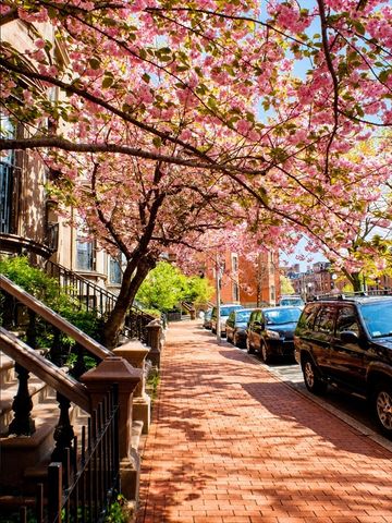 538 Massachusetts Ave 3, Boston, MA 02118