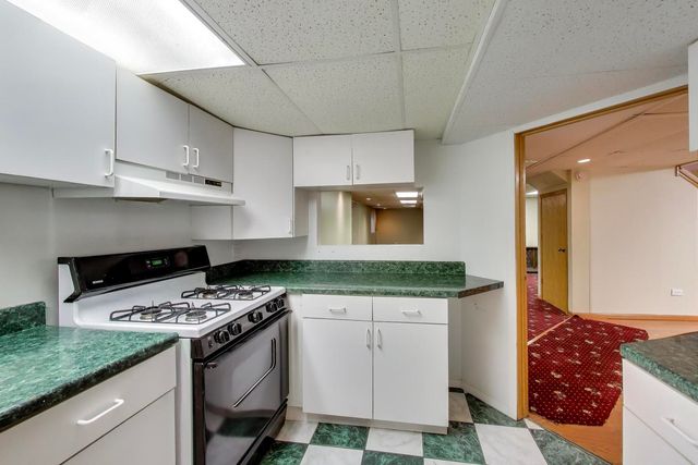 1111 Samstag Court, Naperville, IL 60563