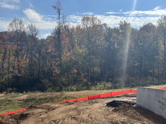 1193 Sydney Terrace, Mount Juliet, TN 37122