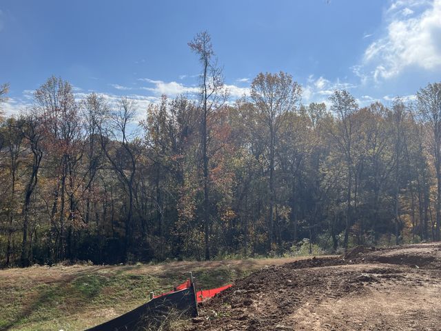 1193 Sydney Terrace, Mount Juliet, TN 37122