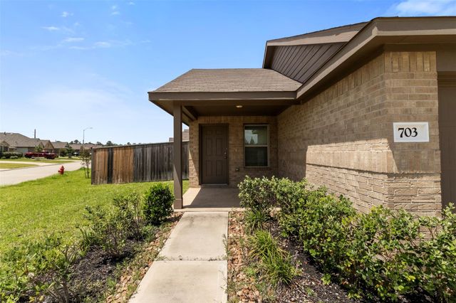 703 Larkspur Shadow Drive, Magnolia, TX 77354