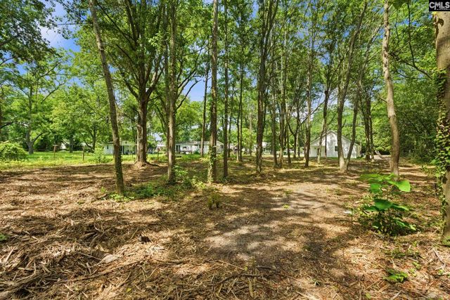 125 S East Avenue, Leesville, SC 29070