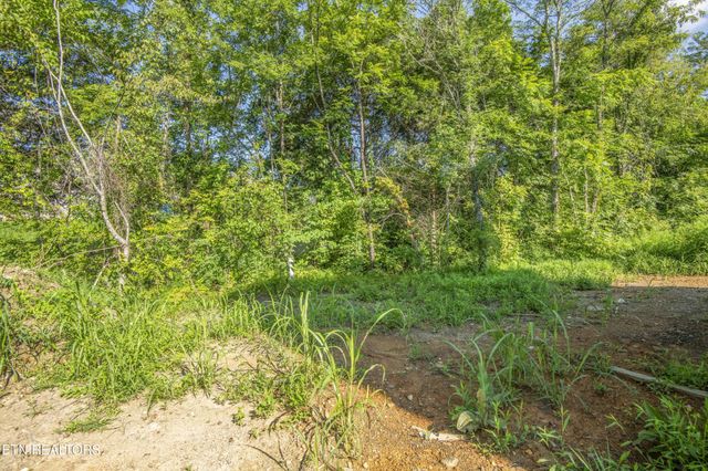 0 Rock Gardens Drive, Sevierville, TN 37876