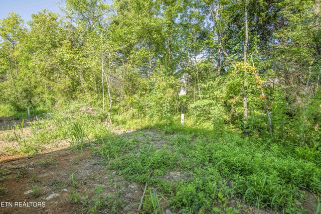 0 Rock Gardens Drive, Sevierville, TN 37876