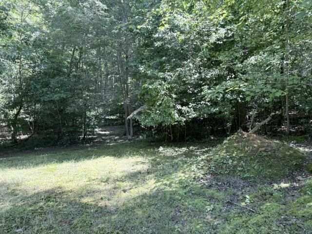00 Jonquil Lane, Hayesville, NC 28904