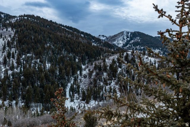 7331 PINE RIDGE DR, Park City, UT 84098