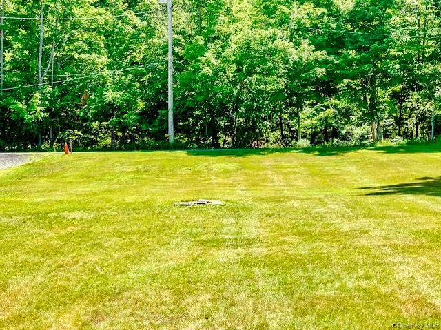 4 Tow Path Road, Barryville, NY 12719