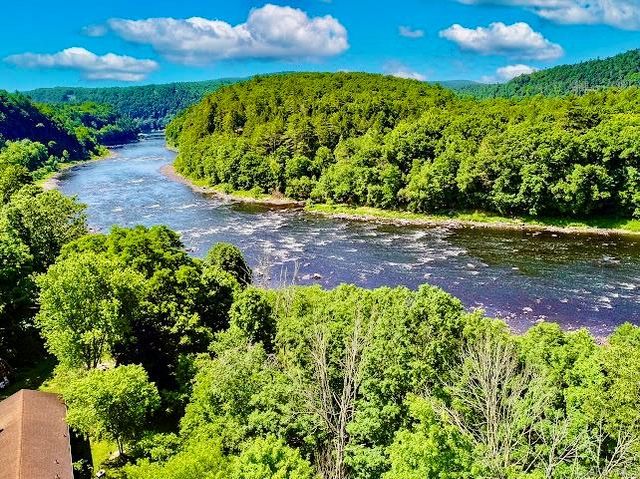4 Tow Path Road, Barryville, NY 12719