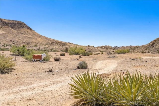 1111 Saratoga, Pioneertown, CA 92268