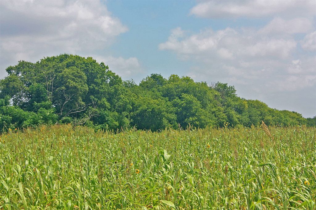 2417 County Road 211, Alvarado, TX 76009