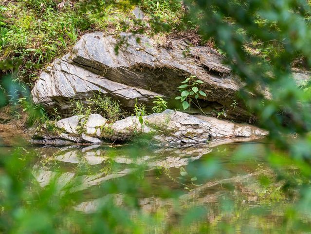 454 Clubhill, Jessieville, AR 71949