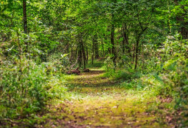 454 Clubhill, Jessieville, AR 71949