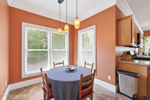 105 Shadowood Drive, Johnson City, TN 37604