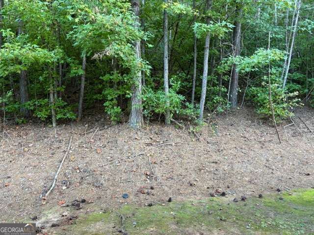 226 Ridge Mill Drive, Acworth, GA 30102