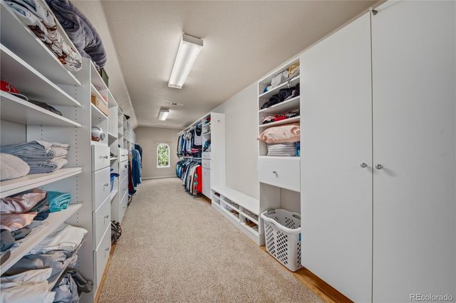 213 Scotch Pine Circle, Parker, CO 80138