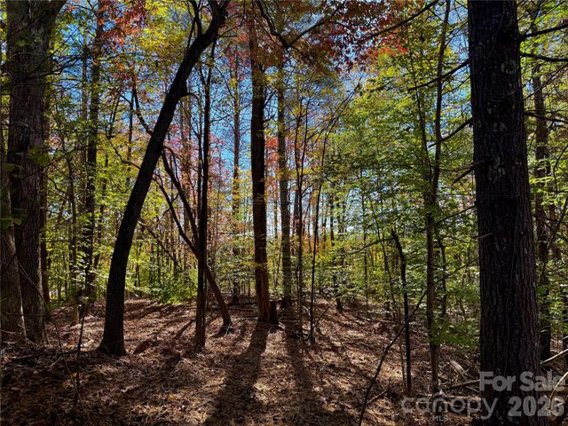 2800 Snipes Street 3, Morganton, NC 28655