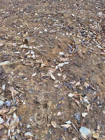 2800 Snipes Street 3, Morganton, NC 28655