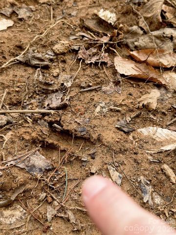 2800 Snipes Street 3, Morganton, NC 28655