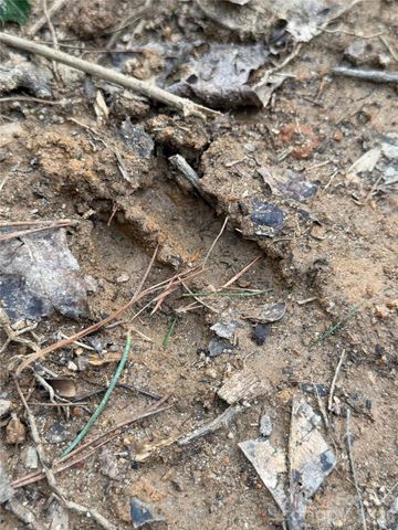 2800 Snipes Street 3, Morganton, NC 28655