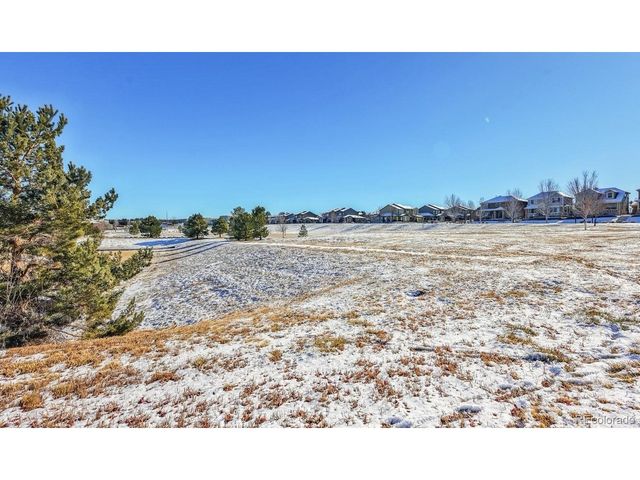 11641 Colony Loop, Parker, CO 80138