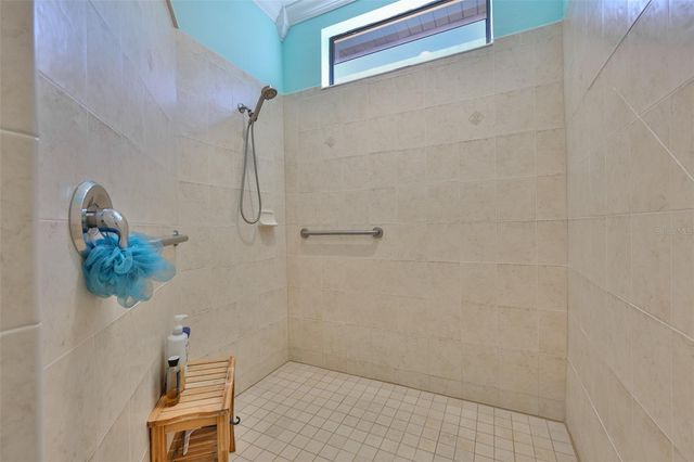 250 SILVER FALLS DRIVE, Apollo Beach, FL 33572