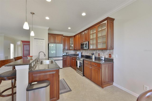 250 SILVER FALLS DRIVE, Apollo Beach, FL 33572