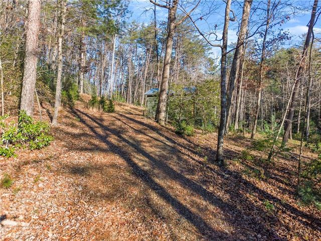 121 Waterfalls Way, Clarkesville, GA 30523