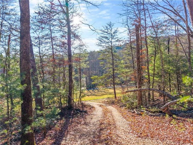 121 Waterfalls Way, Clarkesville, GA 30523