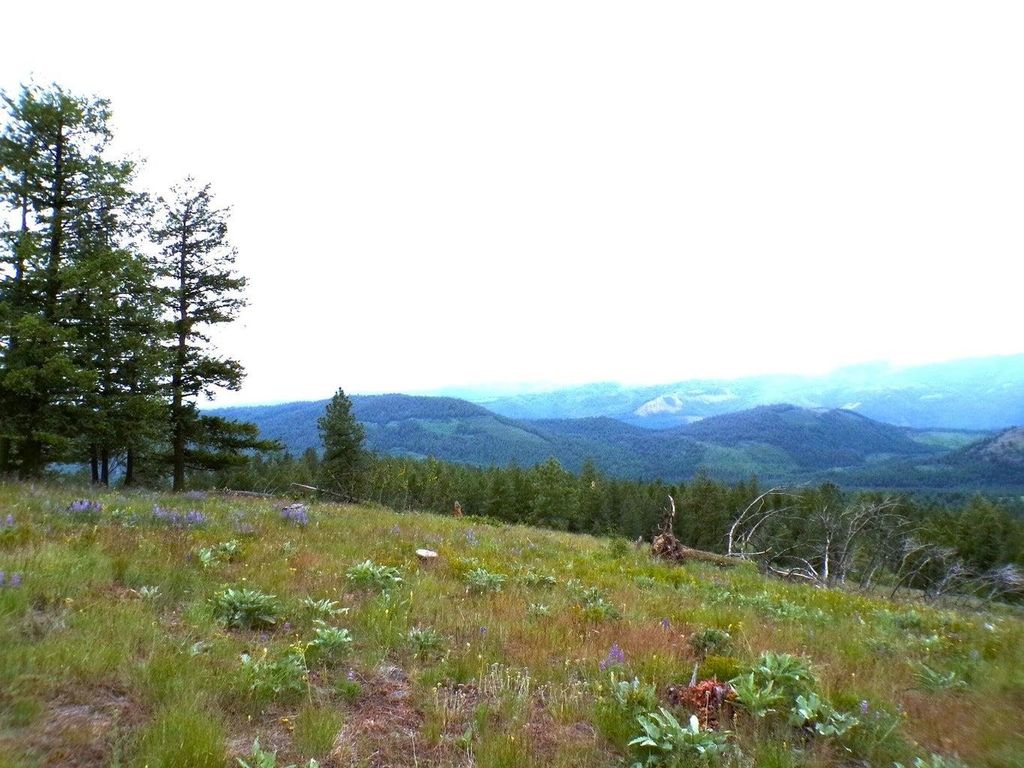 #B Vista View Ln, Inchelium, WA 99141