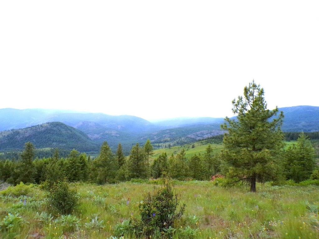 #B Vista View Ln, Inchelium, WA 99141 photo 2