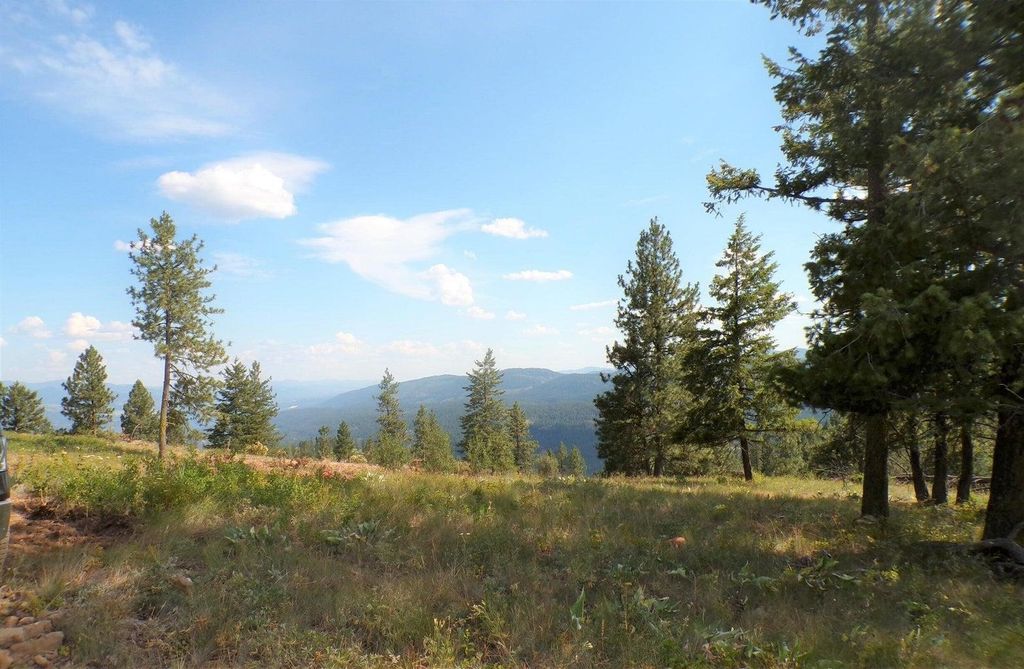 #B Vista View Ln, Inchelium, WA 99141 photo 11