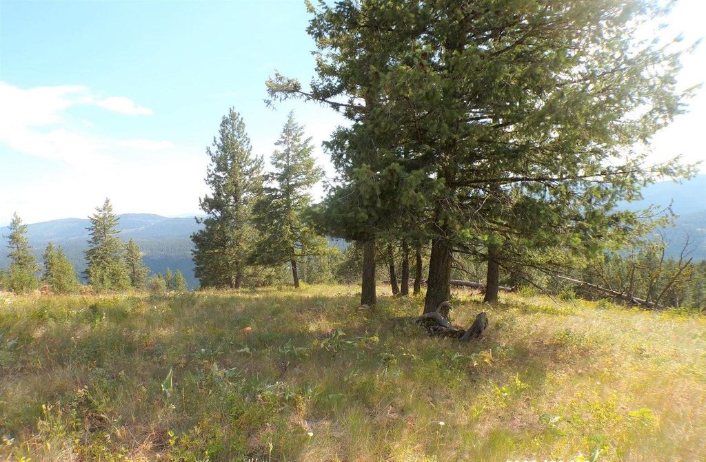 #B Vista View Ln, Inchelium, WA 99141 photo 12