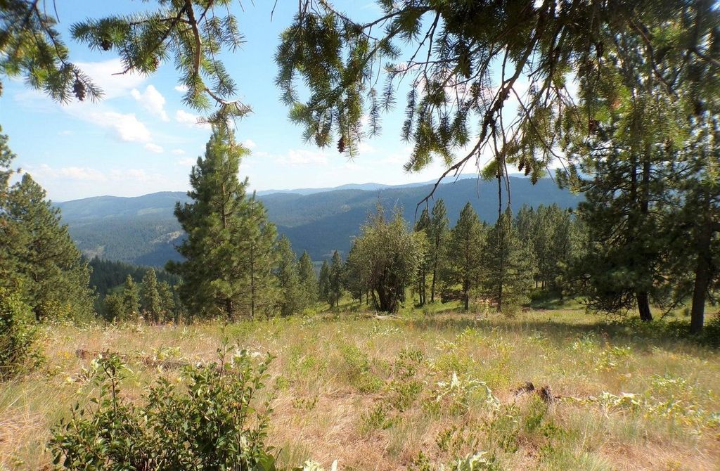 #B Vista View Ln, Inchelium, WA 99141 photo 13