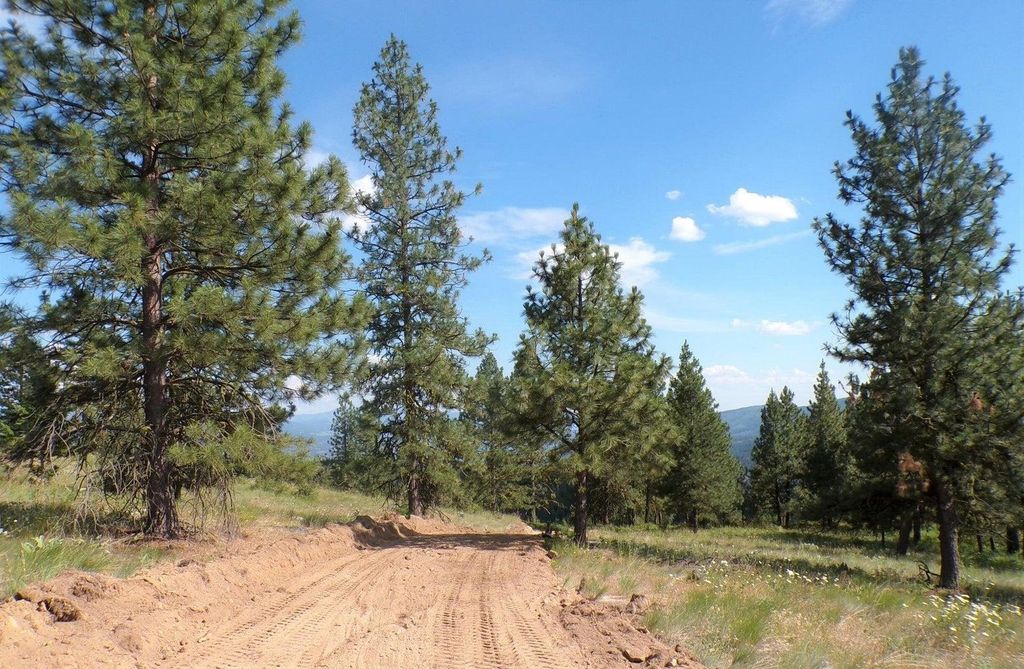 #B Vista View Ln, Inchelium, WA 99141 photo 14