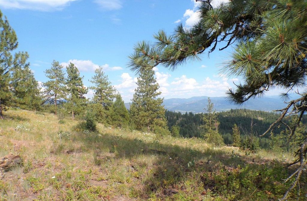 #B Vista View Ln, Inchelium, WA 99141 photo 15