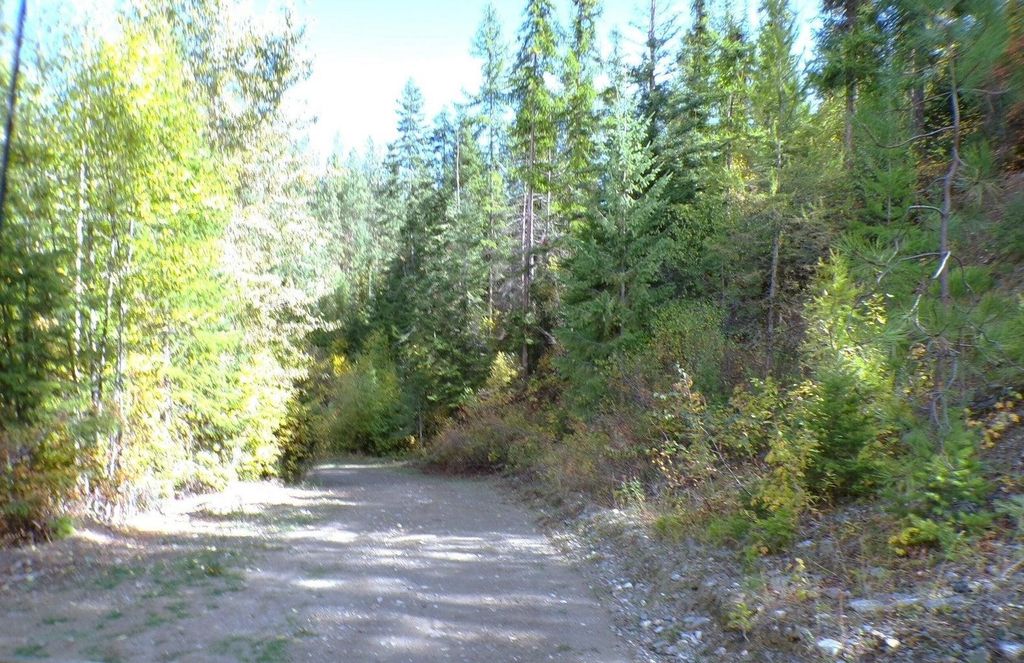 #B Vista View Ln, Inchelium, WA 99141 photo 16