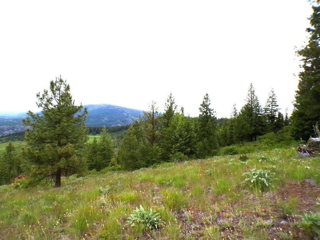 #B Vista View Ln, Inchelium, WA 99141 photo 3