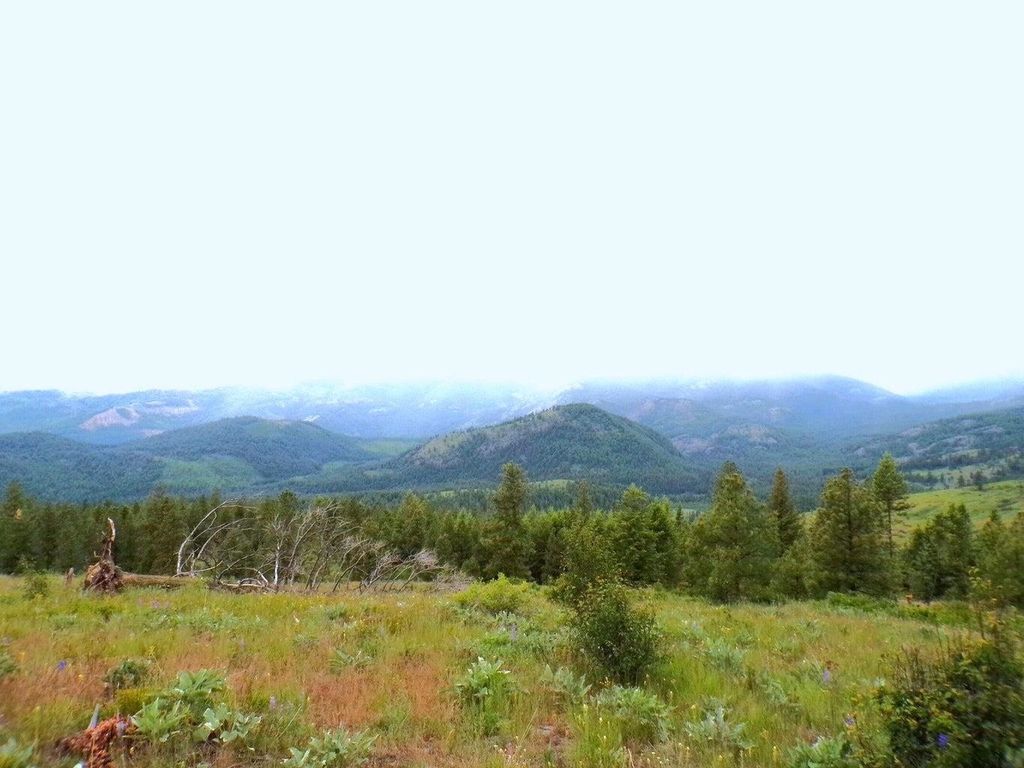 #B Vista View Ln, Inchelium, WA 99141 photo 5