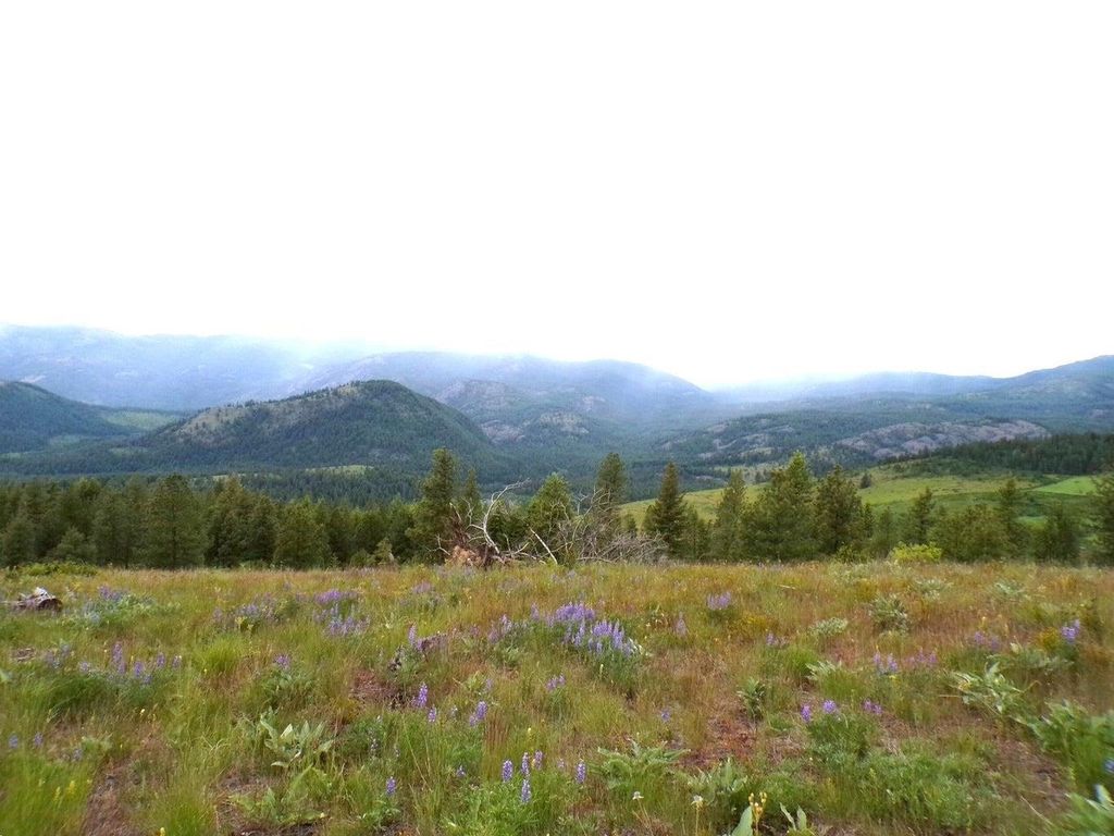 #B Vista View Ln, Inchelium, WA 99141 photo 6