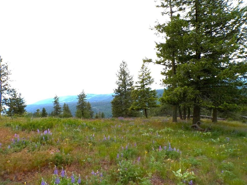 #B Vista View Ln, Inchelium, WA 99141 photo 7