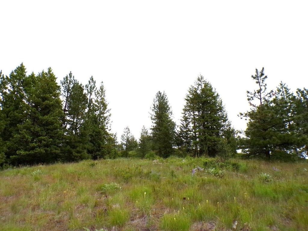 #B Vista View Ln, Inchelium, WA 99141 photo 8