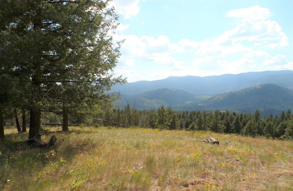 #B Vista View Ln, Inchelium, WA 99141 photo 9