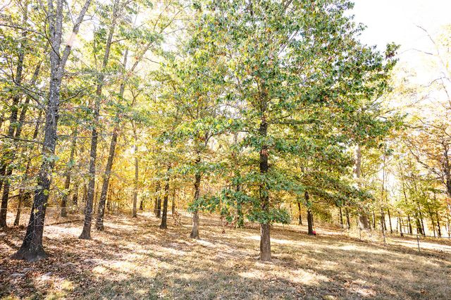 21620 County Road 232, Hermitage, MO 65668