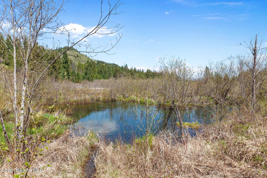 1791 Pup Paw Trl, 144.5 Acres, Priest River, ID 83856 photo 41
